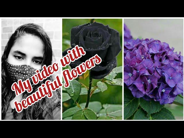 My reels video with beautiful flowers||Khaab song|| Sara Khan Fashion World