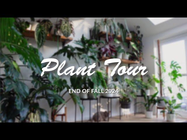 Plant Tour! | End of fall Updates