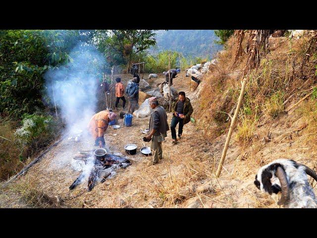 shepherd life of Nepal || Rural Nepal Quest || @ruralnepalquest