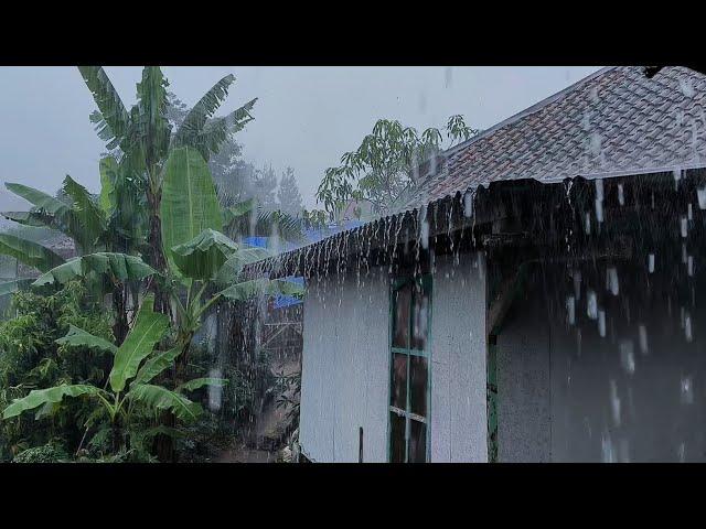 Heavy Rain & Thunderstorms Hit My Village Every Day, Sleep Well Every Moment - Indorain