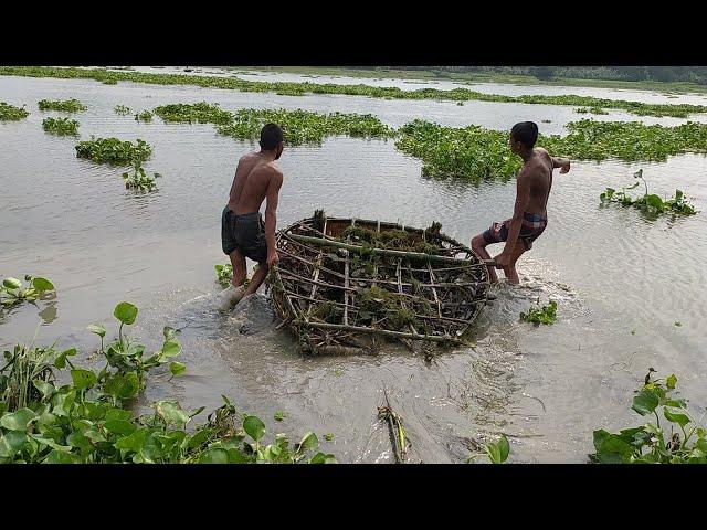 Amazing Fishing, Horga Fishing Trap, Fishing, Saifuddin bd