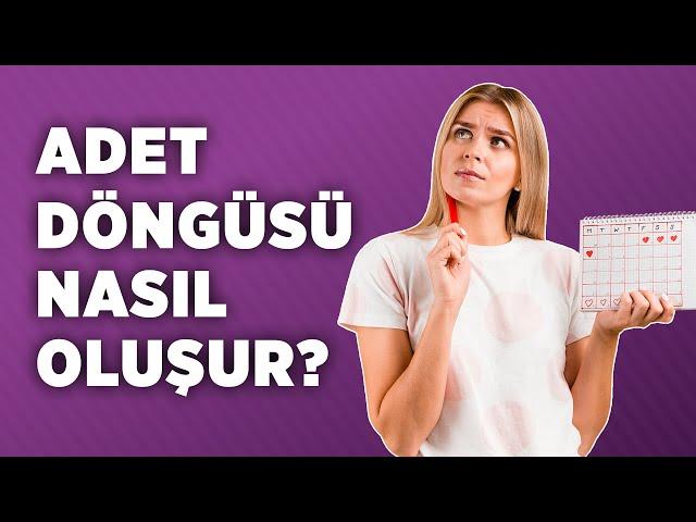 Adet Döngüsü Nasıl Oluşur? - Op. Dr. Ayşe Duman