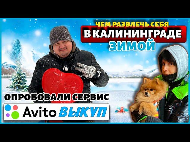 Продали iPhone в Авито выкуп | Наши зимние развлечения в Калининграде