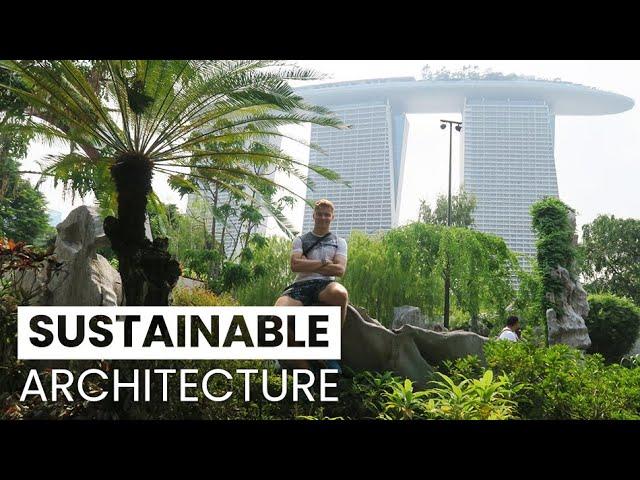 How to Become a Sustainable Architect | Eco-Friendly Design