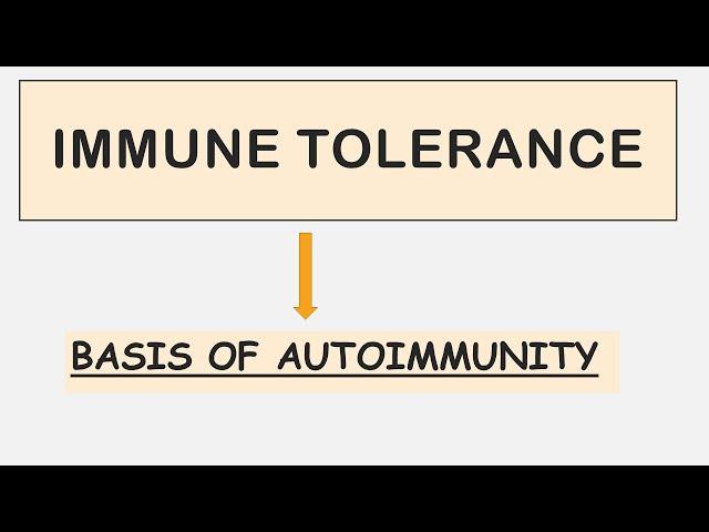 Immune Tolerance - Recent Update - Autoimmunity