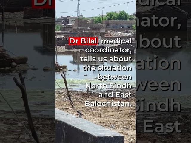 MSF Dr. Bilal showing the flooding aftermath in #Pakistan