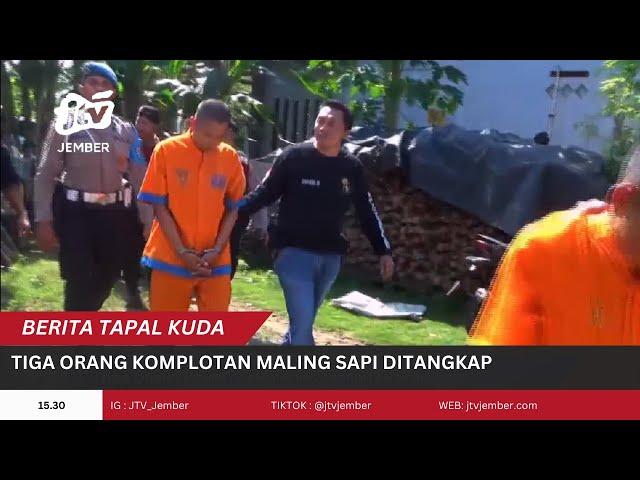 TIGA ORANG KOMPLOTAN MALING SAPI DITANGKAP