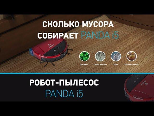 Сколько робот-пылесос Panda i5, (Панда i5), собирает мусора? Panda i5 краткий обзор робота пылесоса