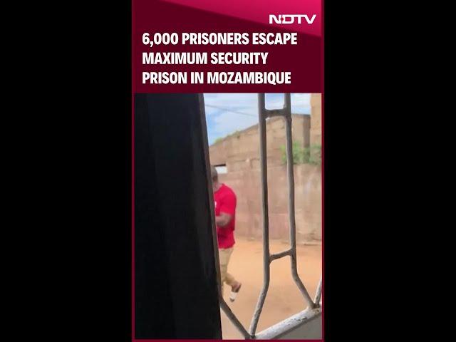 Mozambique News | At Least 33 Killed In Mozambique Prison Riot On Christmas, 6,000 Prisoners Escape