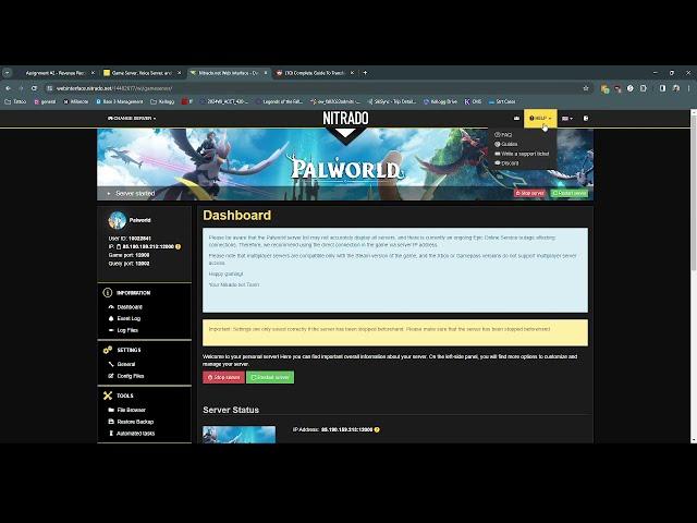 Basic Palworld server setup with Nitrado (plus no password fix)