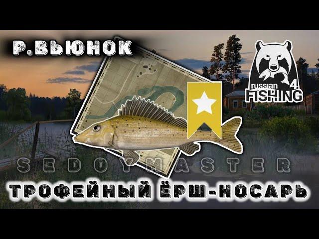 Трофейный Ерш-носарь / Русская Рыбалка 4 / Река Вьюнок