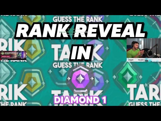 Tarik guessing Rank || ludwig cheated in which game bro 