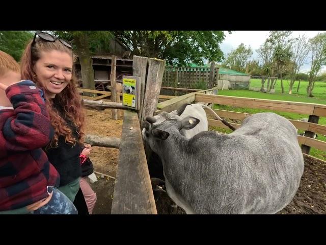 Willowbank Wildlife Reserve