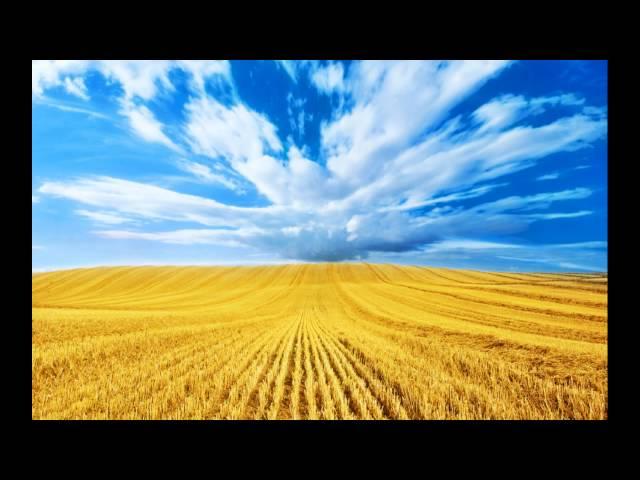 Mars Lasar - Fields of Gold