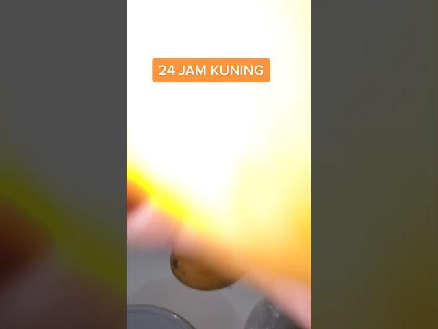 Tiktok kak vilmei viral  - Tiktok Vilmei      P -(11)