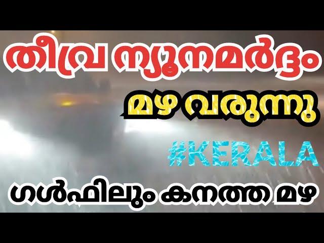 kerala news| kerala rain news today NewsLive InfoMedia #MalayalamNewsLive