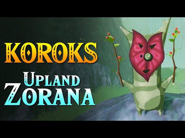 Zelda: Tears of the Kingdom - All Korok Seeds (Upland Zorana Tower) Locations #518 - #600