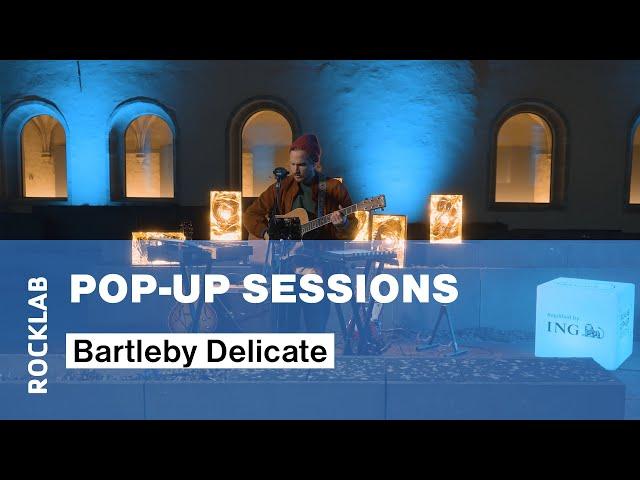 Rocklab Pop-Up Sessions #10 with Bartleby Delicate