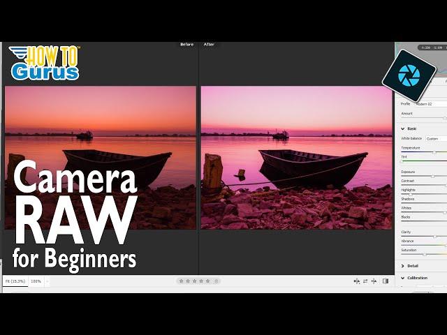 Master CAMERA RAW like a Pro in Photoshop Elements 2024! [Easy BEGINNER Tutorial ]