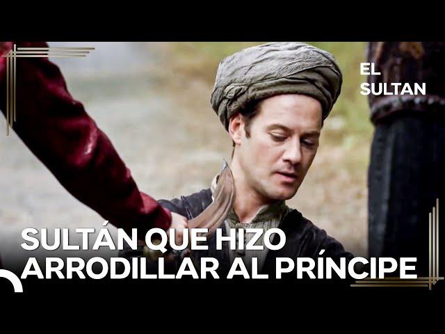 ¡El Castigo por Entrar Ilegalmente a las Tierras de Suleiman! | El Sultán Capitulo 30