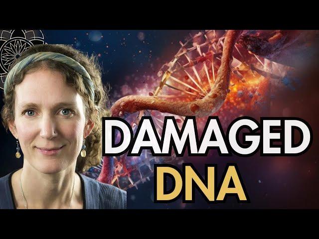 Explore Damaged DNA, Densities, Orion & ET Influence with Laura Eisenhower