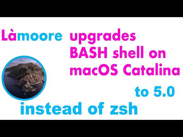 How to upgrade Bash to 5 0 on macOS Catalina easily