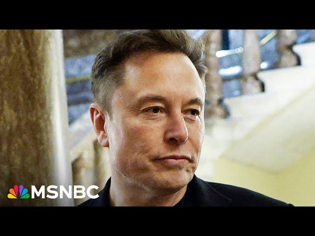 ‘Horrible, no good, very bad day for Elon Musk’: Tesla stocks tumble, X crashes, Dems mobilize