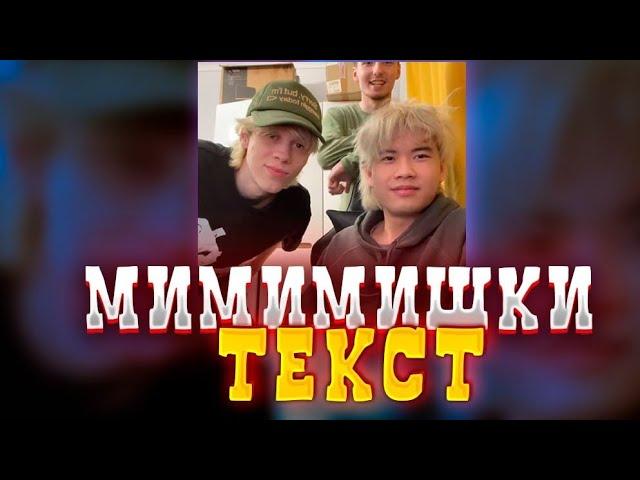 ТЕКСТ - МИМИМИШКИ|STOPBAN,DANONEFLEX,DILBLIN