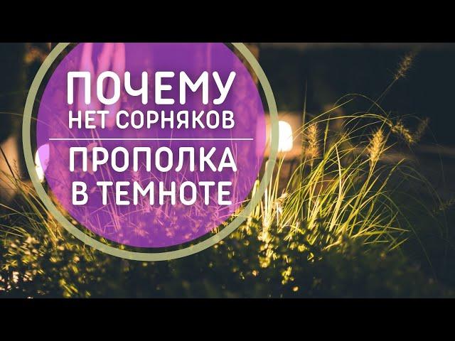 Почему у меня нет сорняков. ПЕРЕКОПКА В ТЕМНОТЕ. Необычный способ борьбы с сорняками.