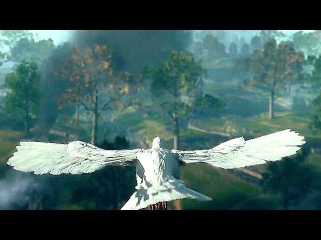 BATTLEFIELD 1 Pigeon Gameplay - Beautiful Moment Scene