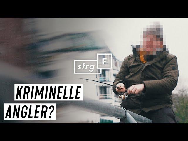 Fangen und Freilassen: Ist Catch & Release Tierquälerei? | STRG_F