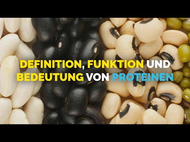 Definition, Funktion und Bedeutung von Proteinen | OTL Ernährungsberater-Ausbildung