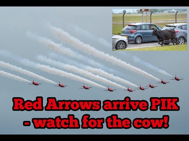 The Red Arrows arrive at Glasgow Airport - Cow on The Loose!