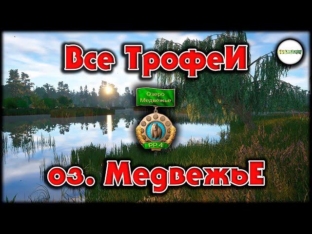 РУССКАЯ РЫБАЛКА 4 (RUSSIAN FISHING 4) - ВСЕ ТРОФЕИ. ОЗЕРО МЕДВЕЖЬЕ.