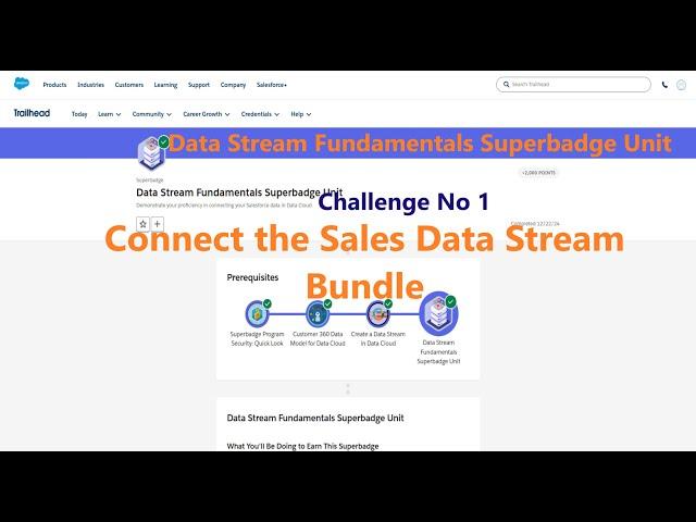 Data Stream Fundamentals Superbadge Unit || Connect the Sales Data Stream Bundle|| Challenge No 1