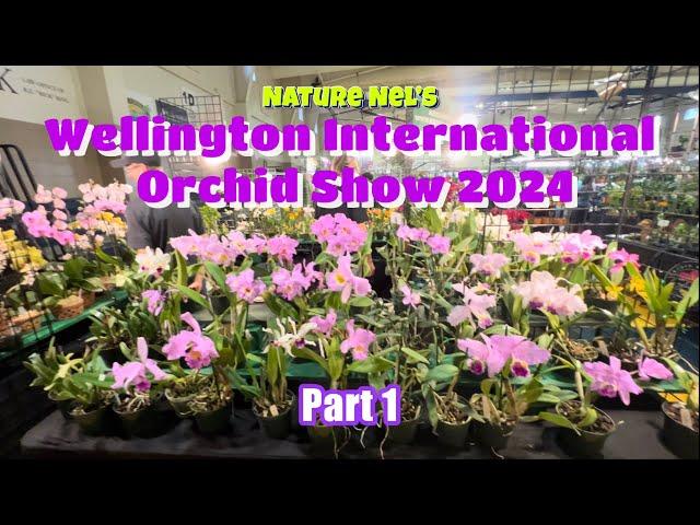 WELLINGTON INTERNATIONAL ORCHID SHOW 2024 part 1. First international orchid show in WPB, Florida