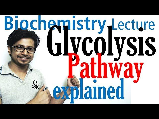 Glycolysis biochemistry