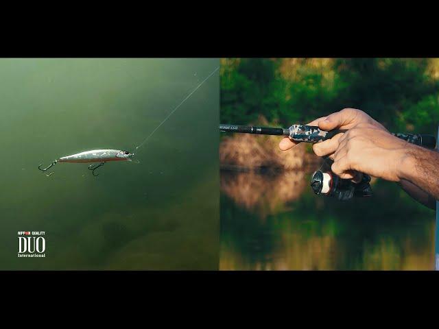 Lure Masterclass: Realis Jerkbait 100SP - How To