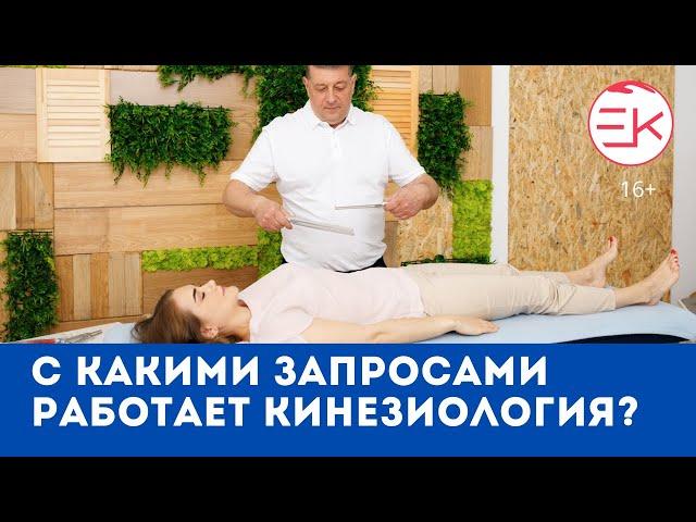 Энергетическая кинезиология, Андрей Барабаш. Коротко о методе