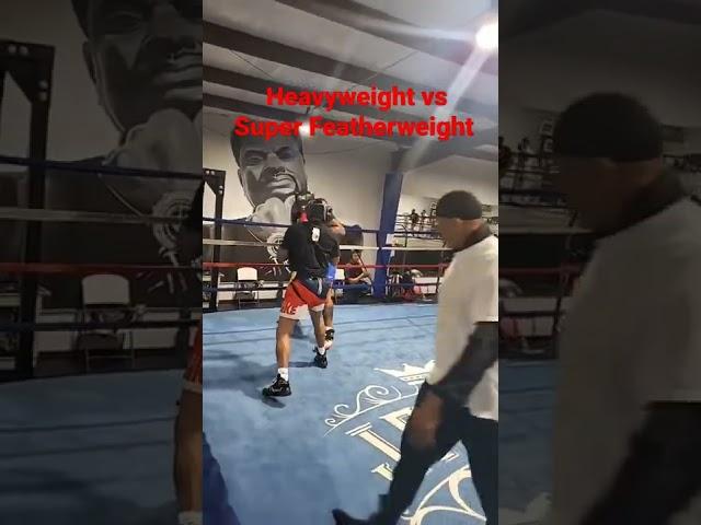 Shakur Stevenson proves he's P4P while sparring Heavyweight Jared Anderson