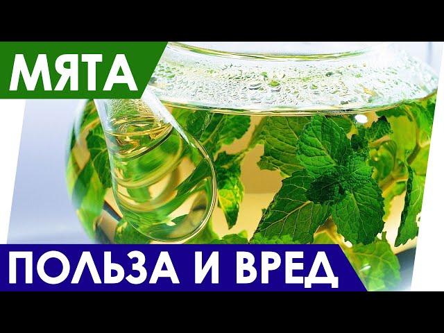 Польза и Вред - МЯТЫ