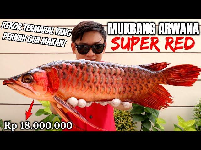 EATING SUPER EXPENSIVE SUPER RED AROWANA, 18 MILLION DOWN THE DRAIN!