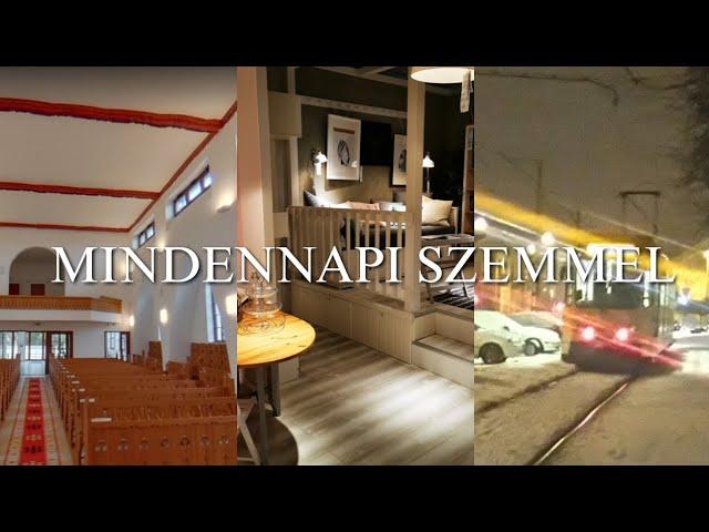 Párdentó mindennapi szemmel