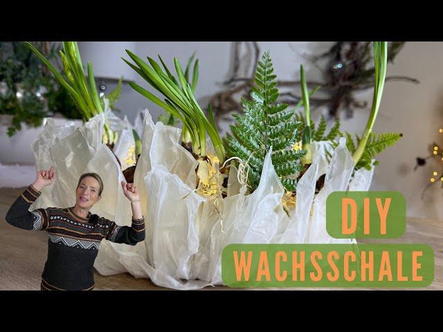 DIY Wachsschale