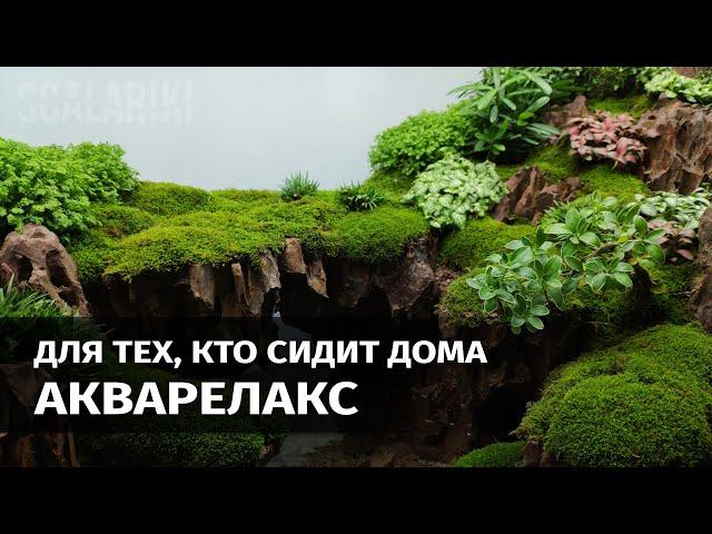 Для тех, кто сидит дома. Акварелакс из Китая