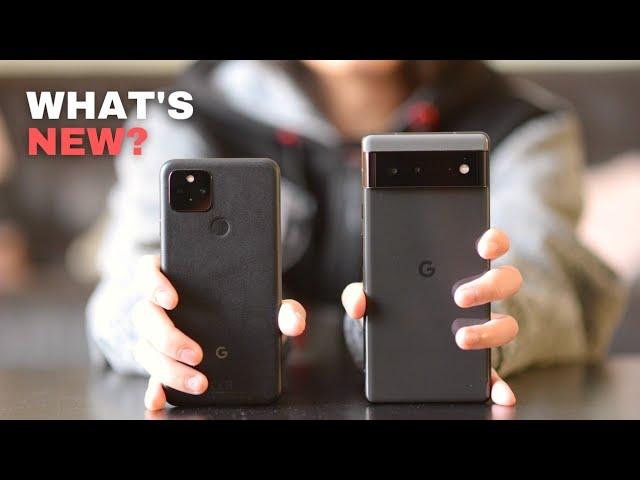 Pixel 5 vs Pixel 6 camera comparison! The battle of two KINGS! What's NEW? Worth upgrading?