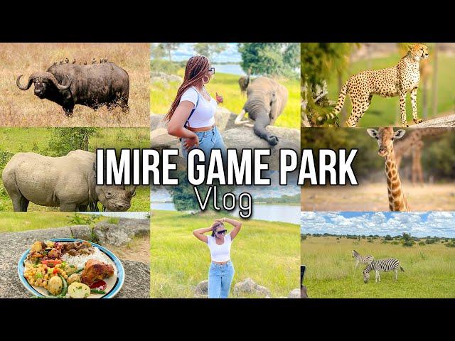 Imire Game Park | Imire Rhino & Wildlife Conservation #travelvlog  #zimbabwe #livinginzimbabwe