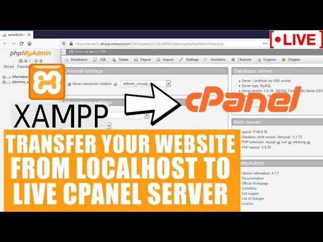 [LIVE] How to migrate your website from localhost Xampp to Live cPanel server?