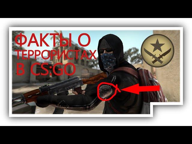 FACTS ABOUT TERRORISTS IN CS:GO