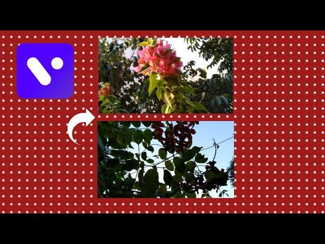 How to Add Multiple Video Clips in Single Video Using VITA App | Vita Video Editing Tutorial